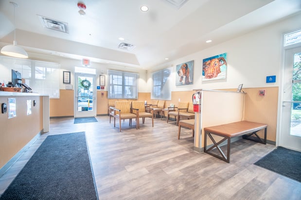 Images VCA Veterinary Hospital of Leon Springs