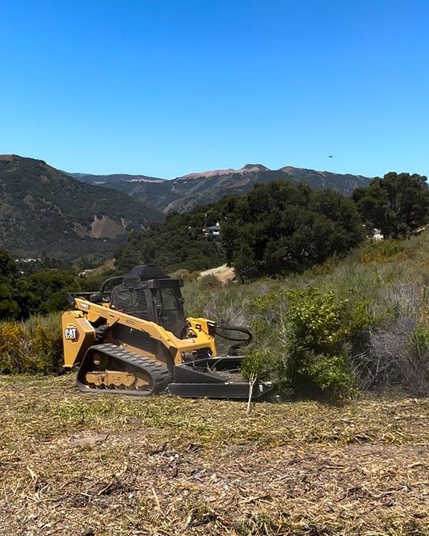 Images La Sirenita Tree Service