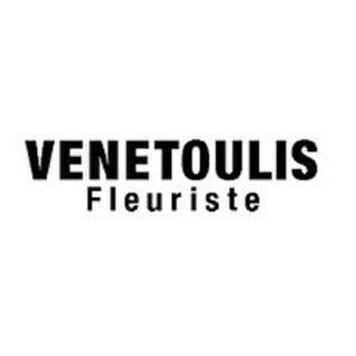 Venetoulis SA Logo