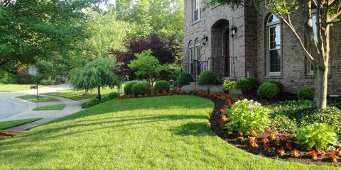 3 Reasons to Start Your Lawn Care in March Sharp Lawn Inc. Nicholasville (859)253-6688