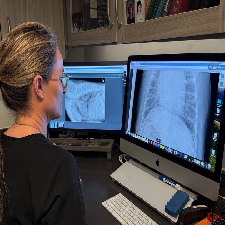 Images Carolina Veterinary Mobile Radiology  Inc