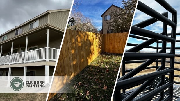 Images Elk Horn Painting - Denver