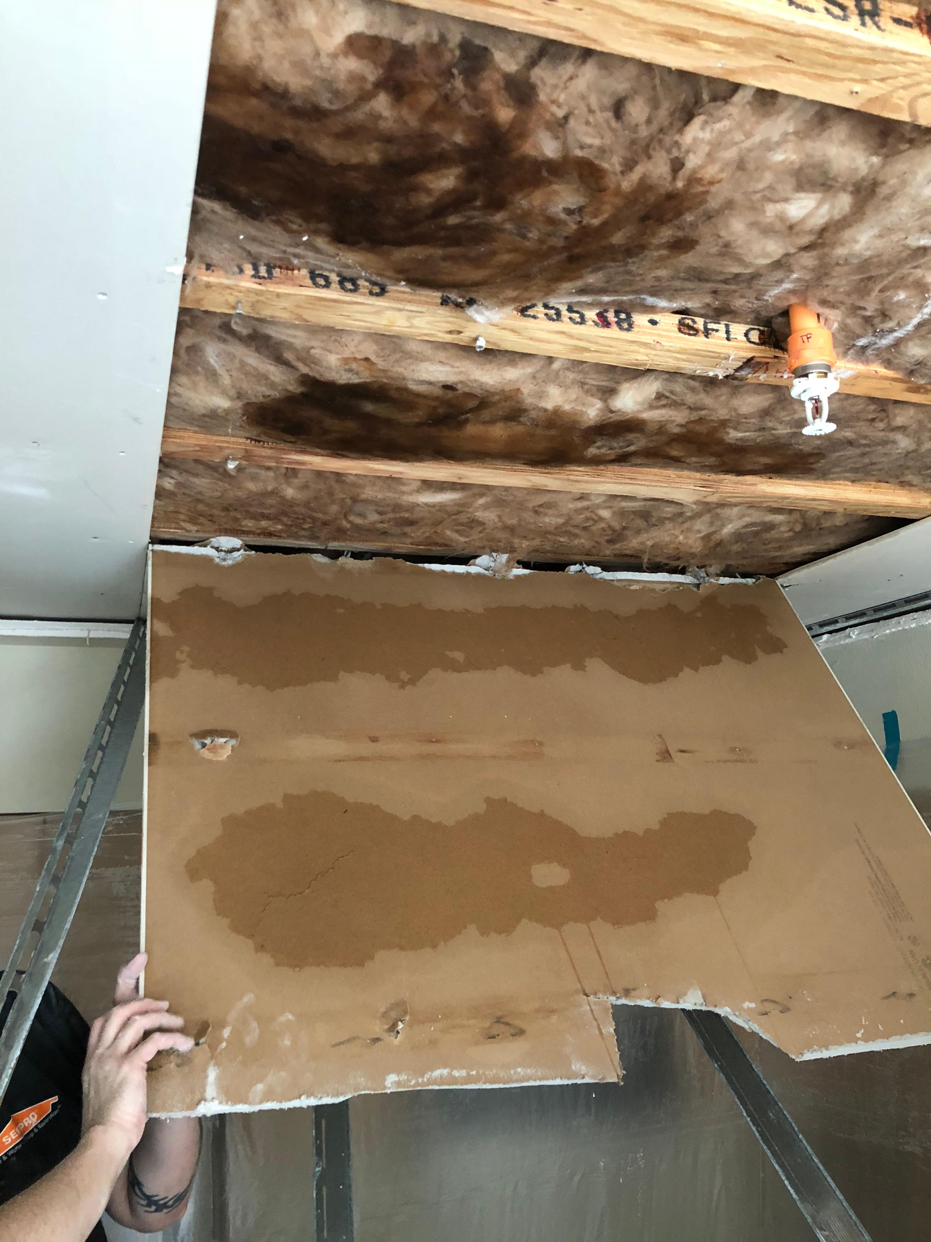 This ceiling in a Woodinville, WA home suffered from a water leak that caused extensive water damage and mold damage.