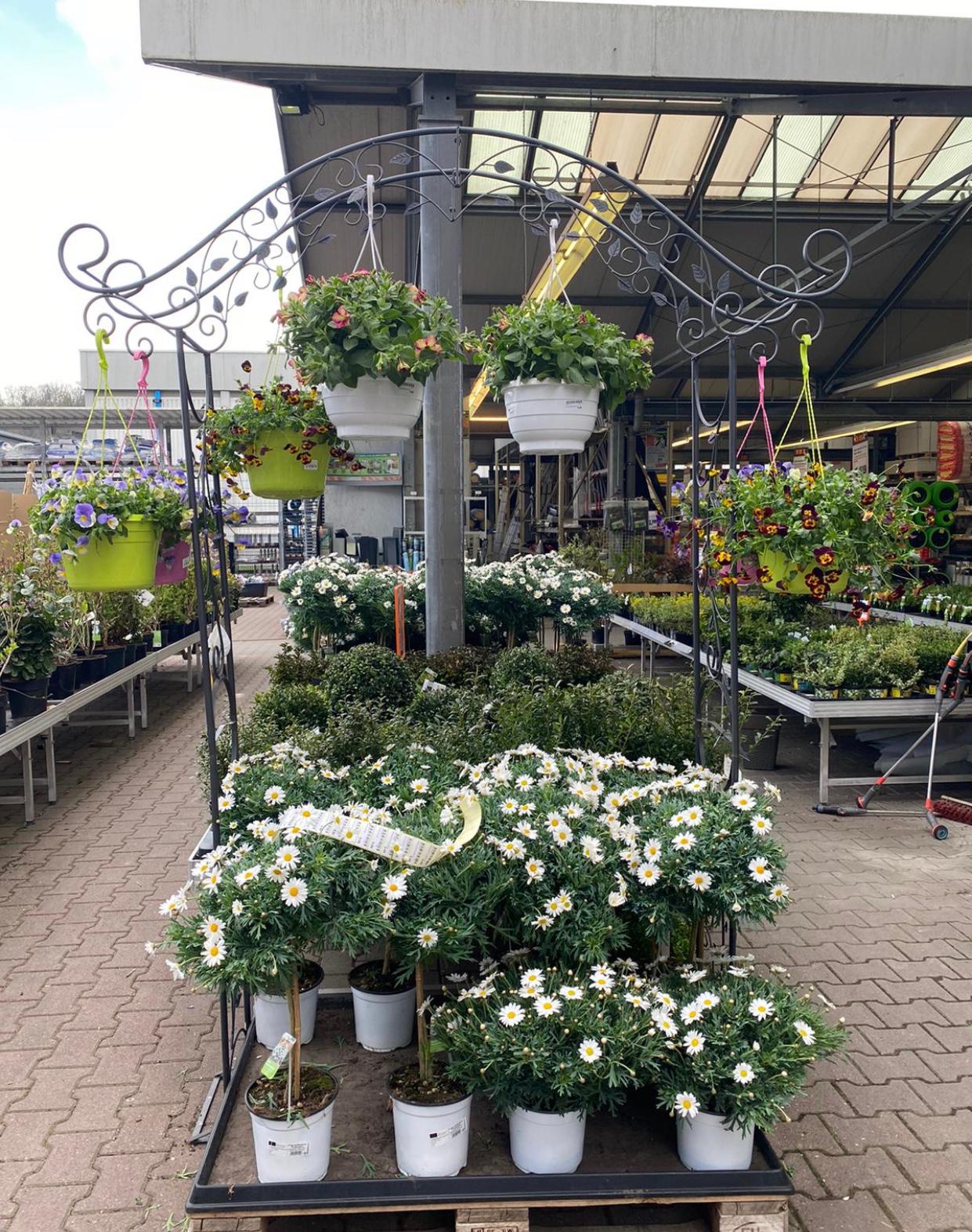 Fotos - OBI Markt Uhingen - 60