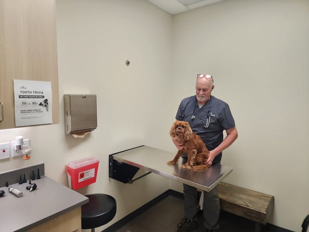 Images Vetco Total Care Animal Hospital