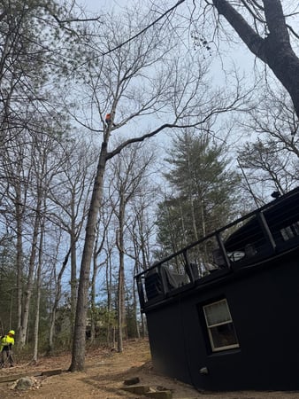 Images ER Tree Services LLC