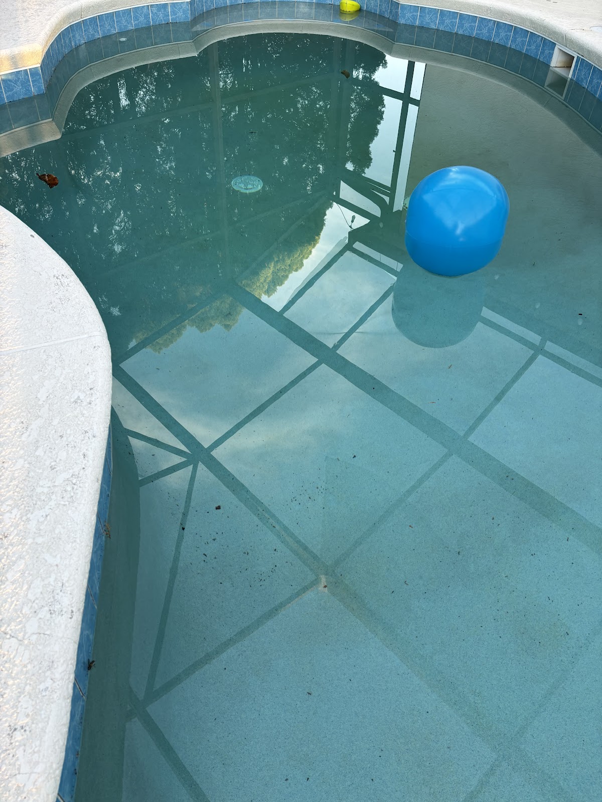 Close-up of a swimming pool with cloudy green-tinted water, visible debris, and a floating chlorine dispenser.