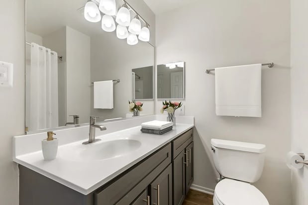 Images The Apartments at Tamar Meadow