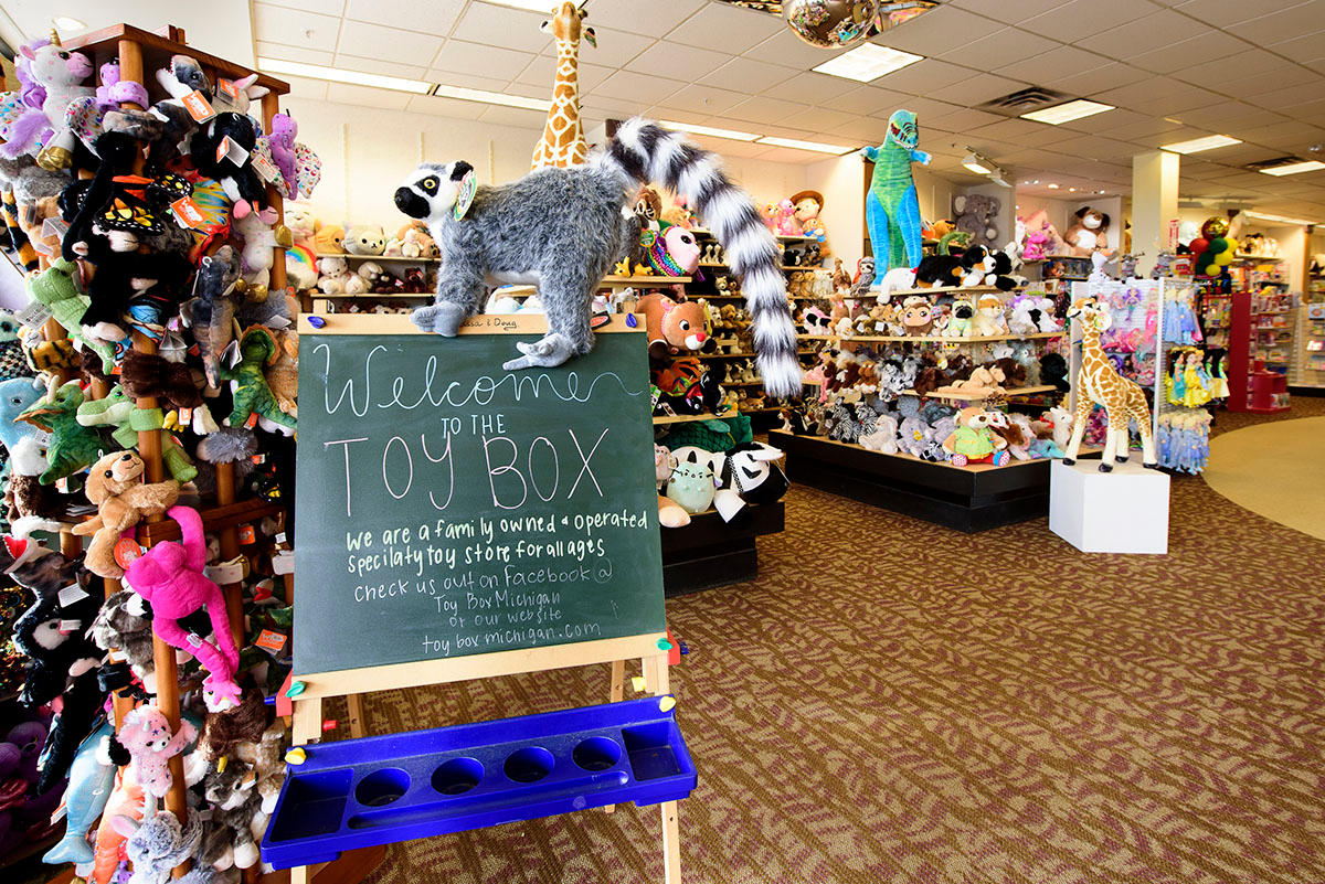 Toy Box Michigan, Utica MI