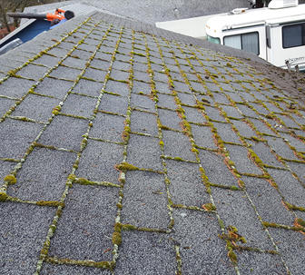 Images Grant Roofing & Pressure Washing