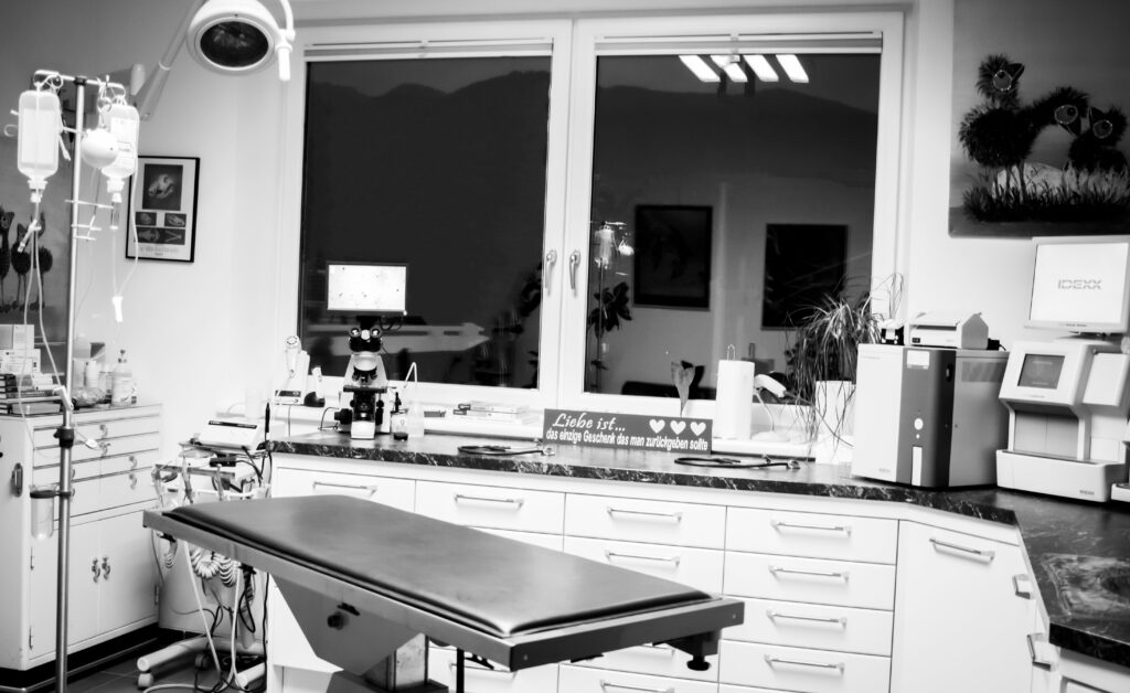 Bild 5 von Tierarztpraxis Kim-Dorn GmbH