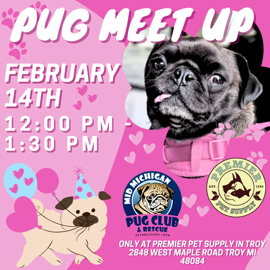 Image of Local Pet Event PUG PARTY | TROY Nearby