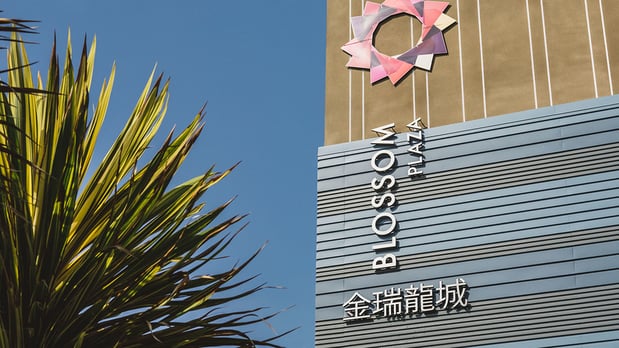 Images Blossom Plaza
