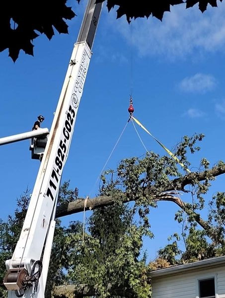 Countryside Cutters LLC Image