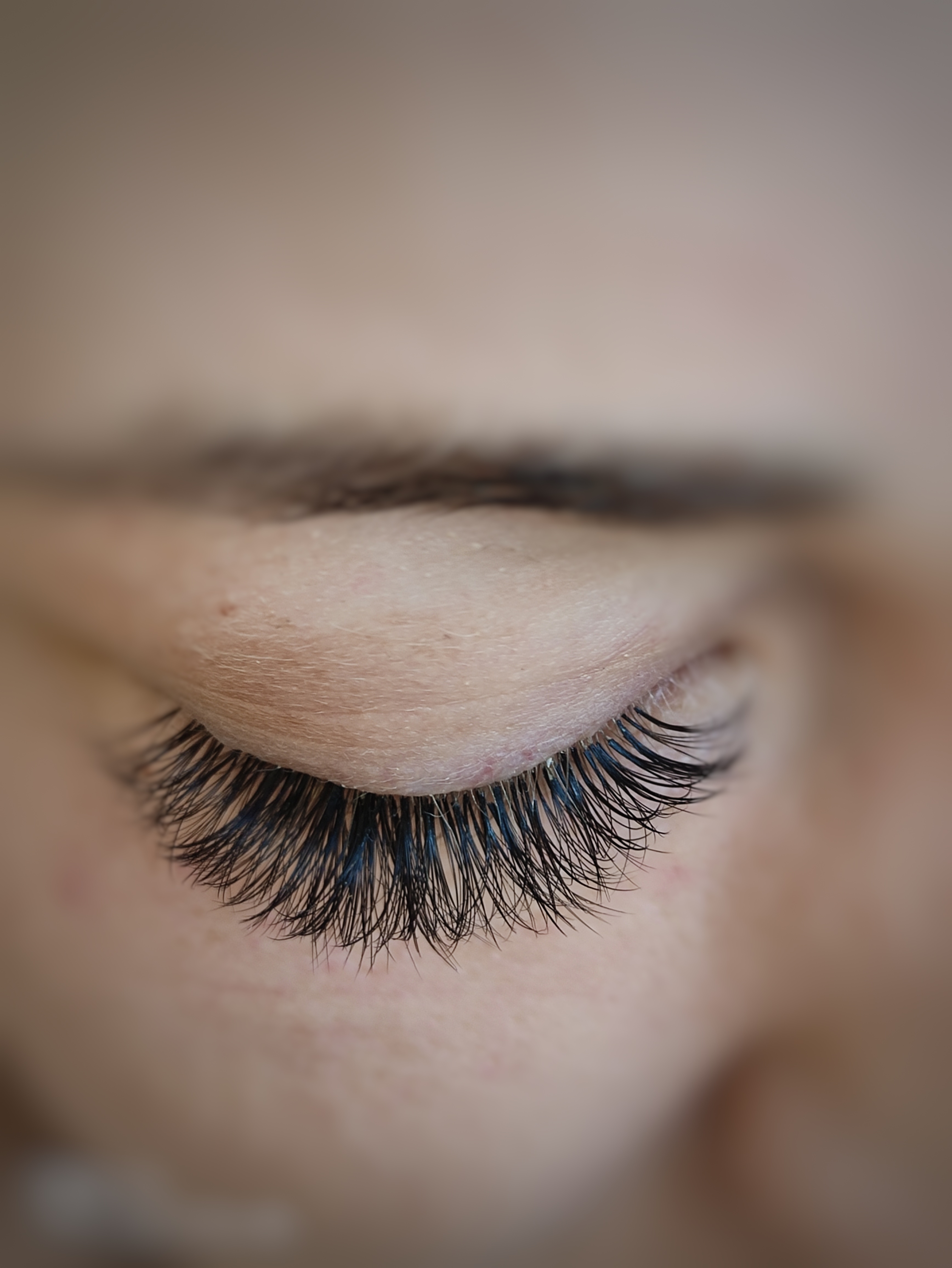 Bild 6 von Nici`s Beauty Lines