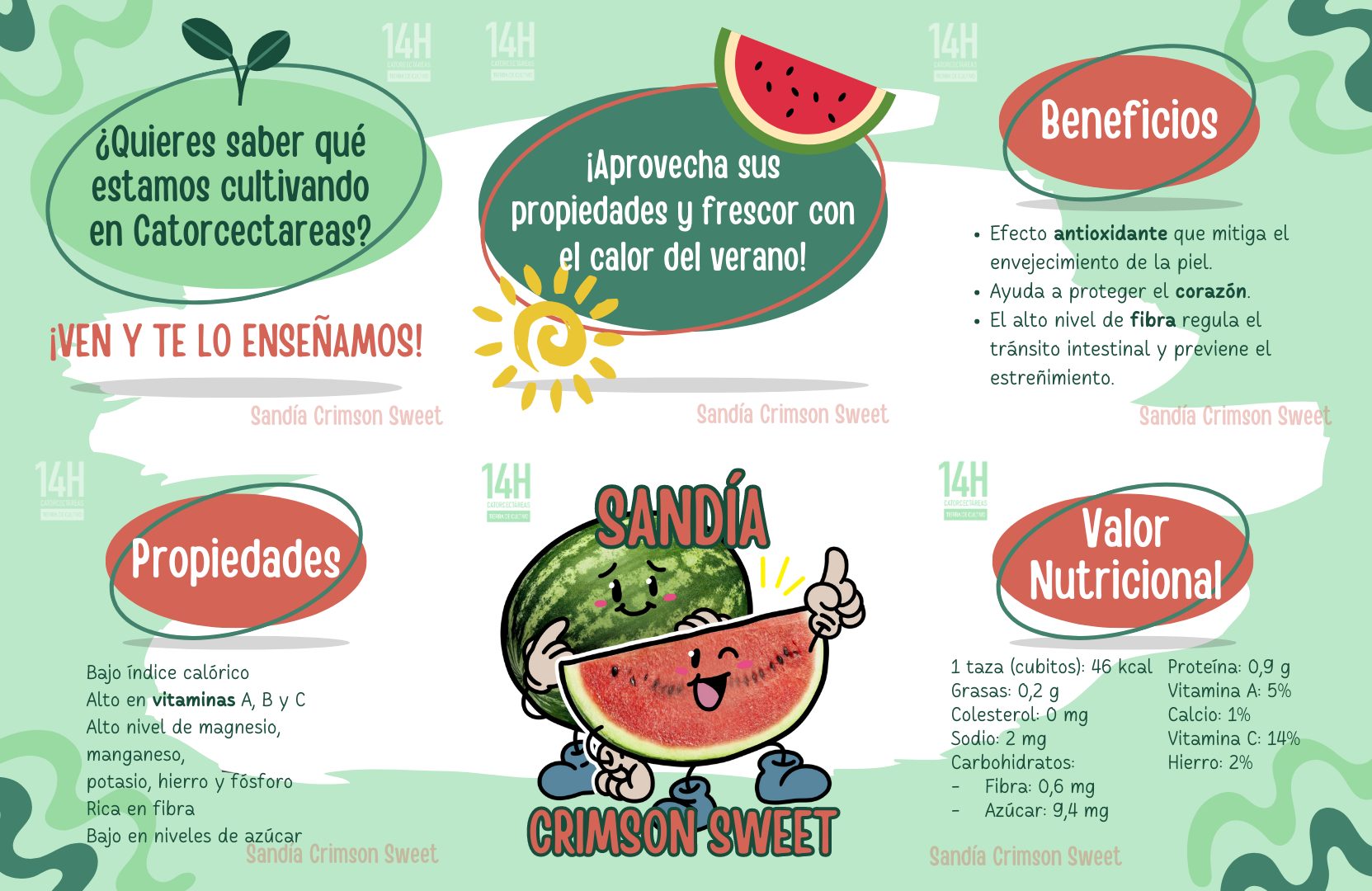 Images Catorcectáreas