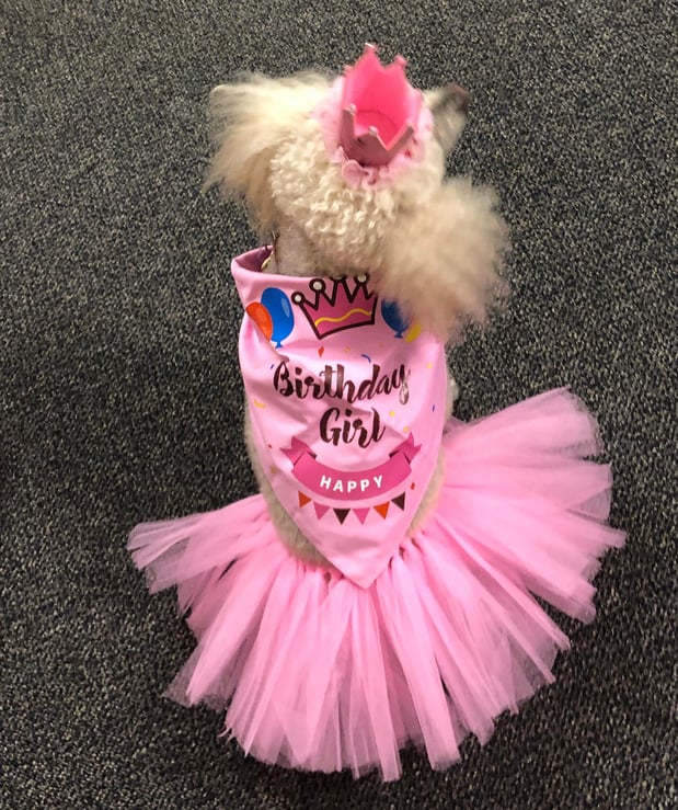 Images Granny Nannies of Gainesville