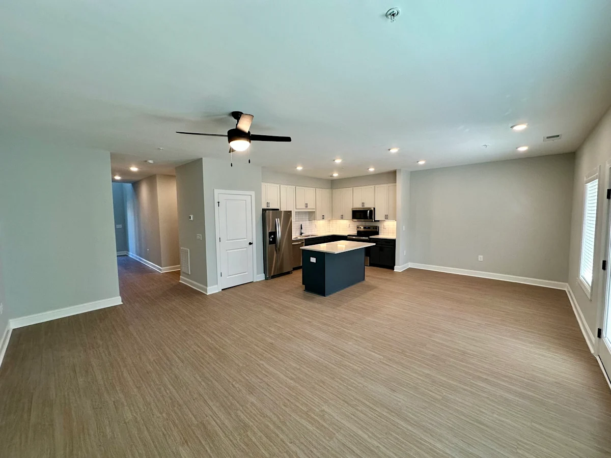 Living room and kitchen