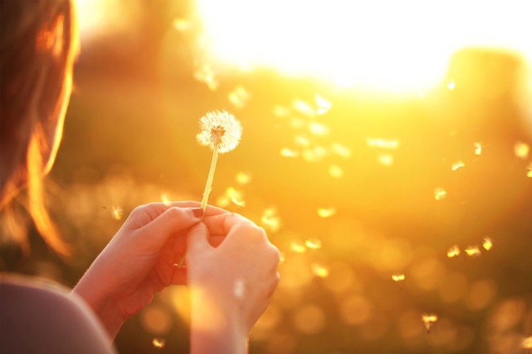 Images Ølen apotek AS