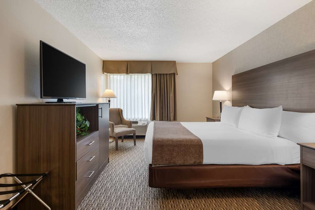 King Suite