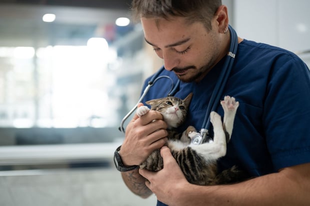 Images Audubon Animal Medical Center