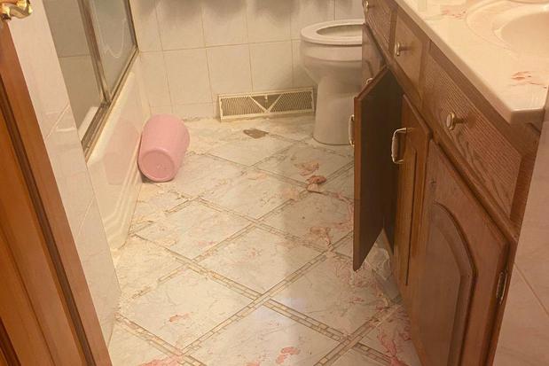 Images First Response Restoration, Water Damage Minneapolis Specialist