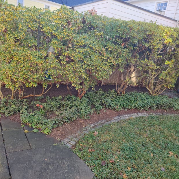 Images Johnson's Landscaping Service