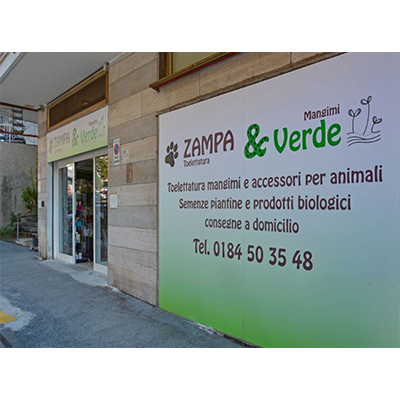 Images Zampa e Verde