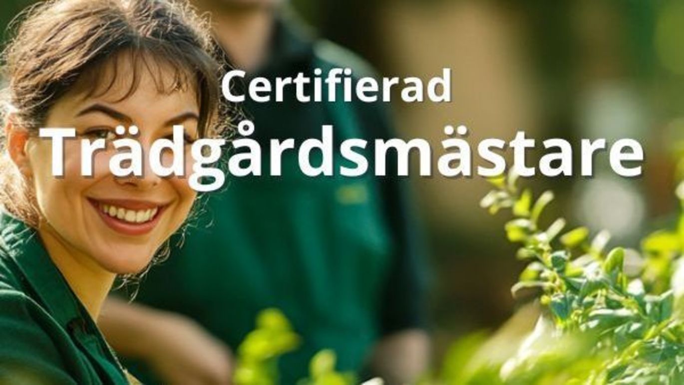 Images Utbildningshuset