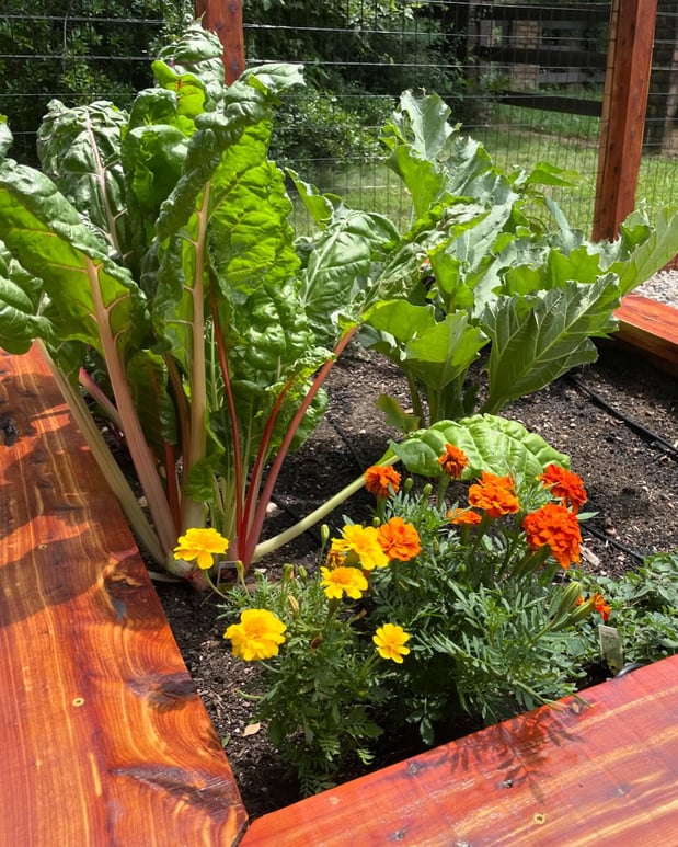 Images Edible Gardens Inc