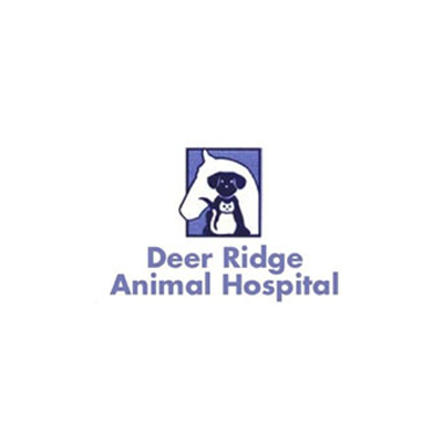 Deer Ridge Animal Hospital