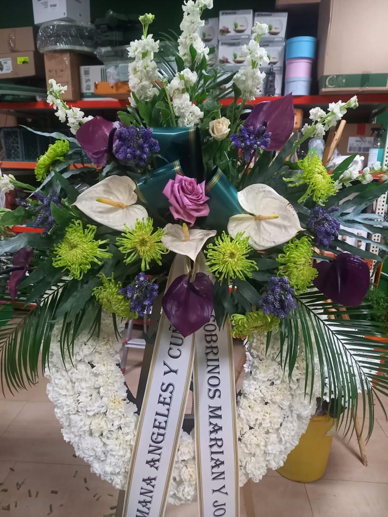 Images Floristería Iris