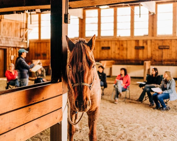 Images Sylvan Dale Guest Ranch & Wedding Venue