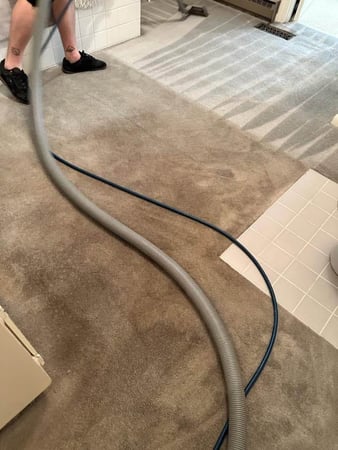 Images Van-Go Custom Carpet Cleaning