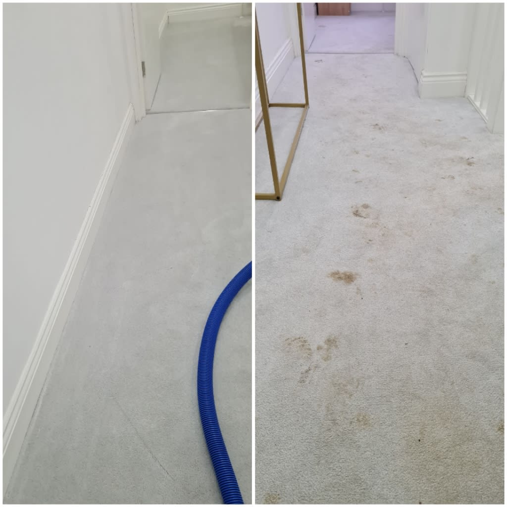 Images XtremeClean Carpet Cleaning and Power Washing