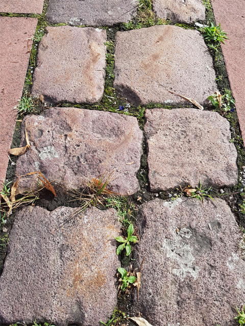 konsequenzer, Hänferstraße 35 in Achern