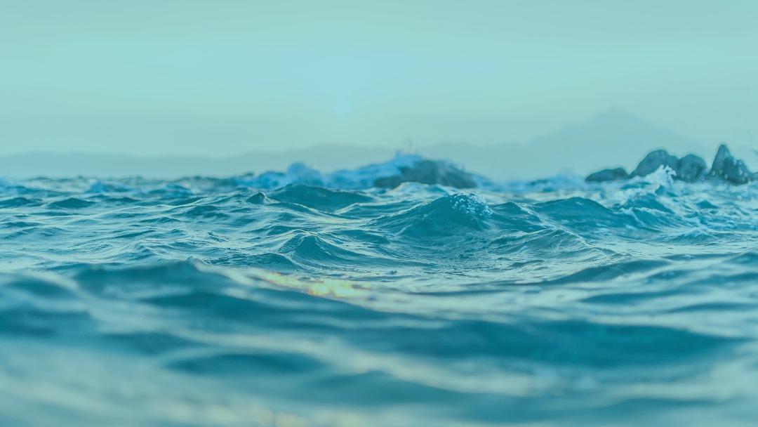 roreo – Rohrreinigung & Rohrsanierung, Hannoversche Str. 14 in Barsinghausen