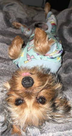 Images Above & Beyond Therapy LLC