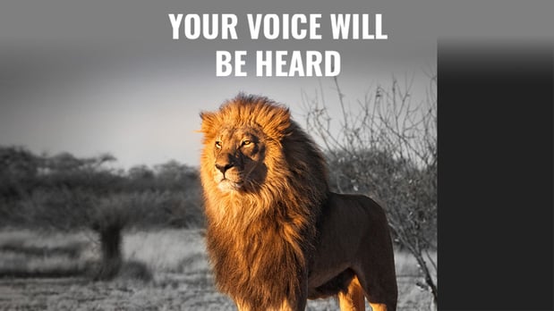 Images Legal Lion Employment Law Firm PLLC