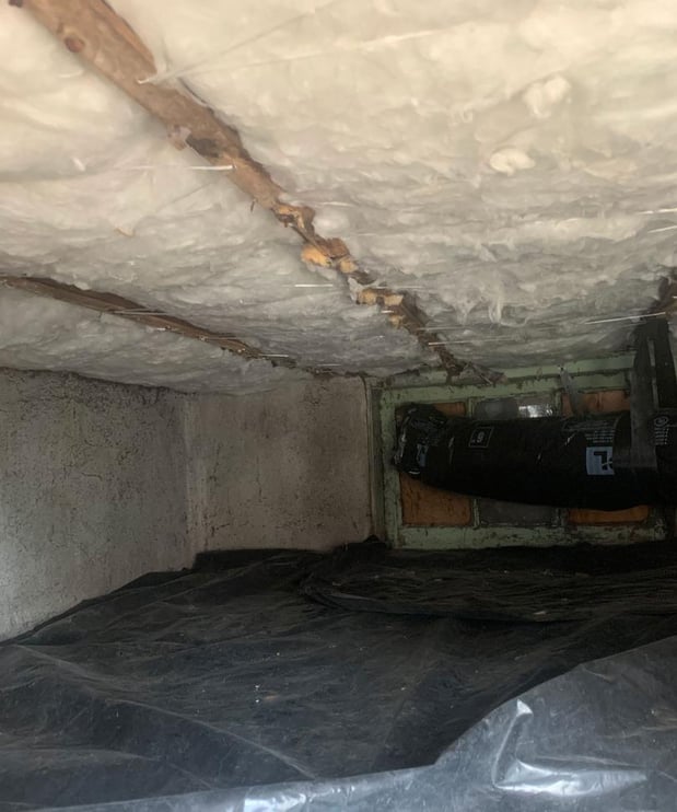 Images GreenSavers - Portland