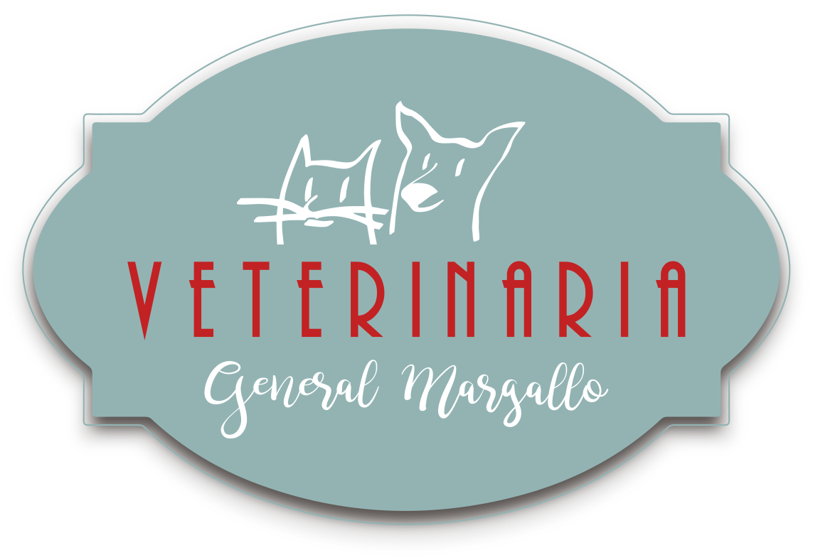 Images Clinica Veterinaria General Margallo
