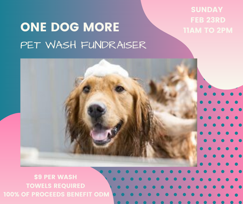 Pet Wash Fundraiser Yarn & Bone Pet Supply Company