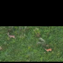 Images Aerovision Drone LLC