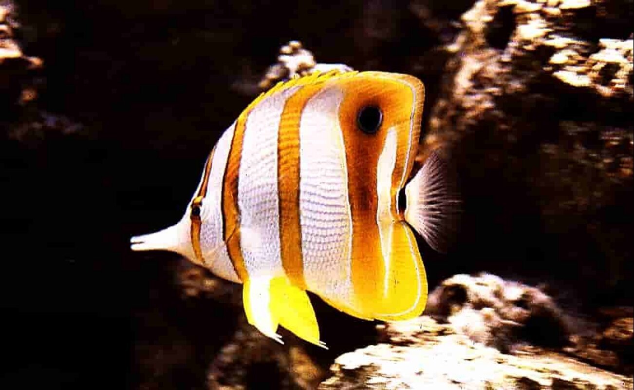 S&L Naturverlag, Bergrat-Mahr-Straße 17 in Ilmenau