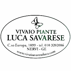 Vivaio Savarese Luca Logo