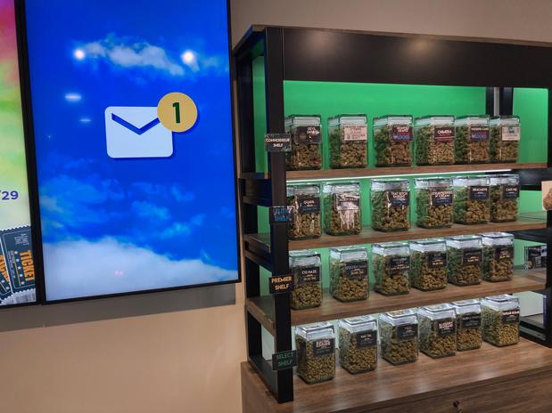 Images Star Buds Lakewood