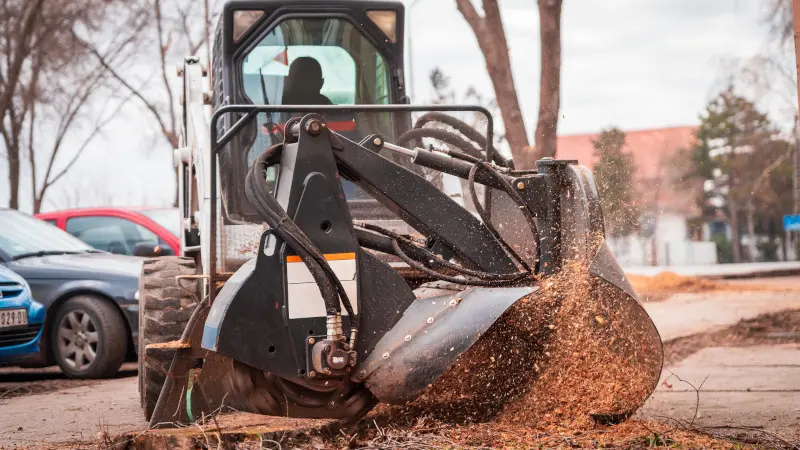 Get rid of unsightly and dangerous stumps on your business site.