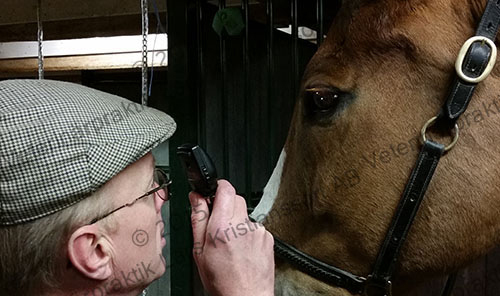 Images Veterinärpraktik Lars Kristiansson AB