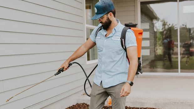 Images Solve Pest Pros
