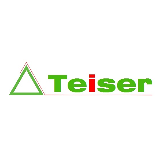 Teiser Logo